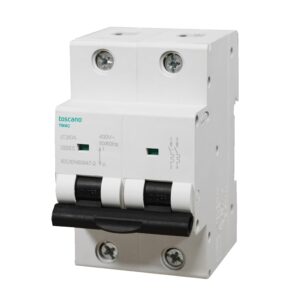 TMAC2P100 · Magnetotermico AC 2x100A curva C 50/60Hz 6kA